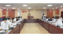 Đề xuất hỗ trợ xây dựng các dự án dược liệu quý trên địa bàn tỉnh Nghệ An