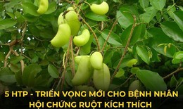 Hoạt chất 5-HTP - giải ph&#225;p cho bệnh đại tr&#224;ng co thắt