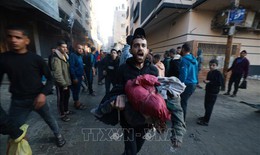 Tình trạng hỗn loạn lan đến các bệnh viện ở Nam Gaza