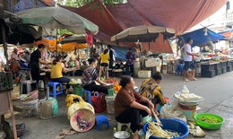 Đảm bảo sức khỏe người d&#226;n: H&#224; Nội y&#234;u cầu c&#244;ng khai c&#225;c vụ vi phạm về an to&#224;n thực phẩm dịp cuối năm