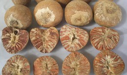 4 món ăn bài thuốc tốt cho chức năng thận