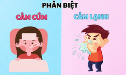 Ph&#226;n biệt cảm c&#250;m v&#224; cảm lạnh, c&#225;ch hỗ trợ giảm triệu chứng bệnh hiệu quả