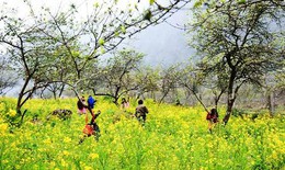 Phát triển du lịch 4 mùa ở Nghệ An