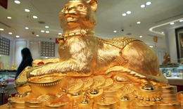 Cận cảnh Mèo vàng "Kim Mão vương bảo" gần 50kg gây sốt ngày vía Thần Tài