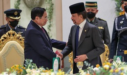 Tăng cường kết nối hai nền kinh tế, th&#250;c đẩy quan hệ Đối t&#225;c To&#224;n diện Việt Nam-Brunei