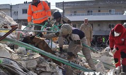 Động đất tại Thổ Nhĩ Kỳ, Syria: Việt Nam sẵn sàng bảo hộ công dân
