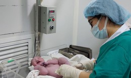 Bắc Giang đón em bé đầu tiên từ phương pháp thụ tinh trong ống nghiệm