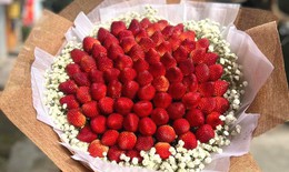 'Nhuộm đỏ' thị trường Valentine, hoa dâu tây giá bạc triệu vẫn đắt khách