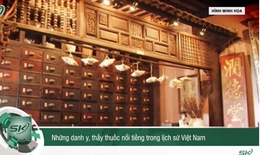 Những danh y, thầy thuốc nổi tiếng trong lịch sử Việt Nam