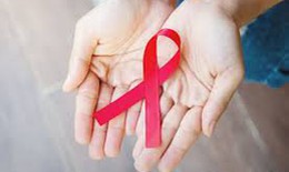 Các tổ chức xã hội đóng góp từ 25 - 50% dịch vụ phòng, chống HIV/AIDS