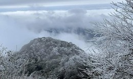 Rét đậm, rét hại và mưa trái mùa xuất hiện vào cuối tháng Hai