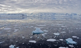 Nghiên cứu: El Nino mạnh hơn khiến băng Nam Cực tan chảy "không thể đảo ngược"