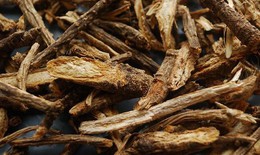 4 bài thuốc phòng và trị hen phế quản