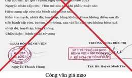 Giả mạo chữ ký giám đốc và con dấu của bệnh viện để lừa đảo
