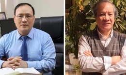 13 nhà khoa học Việt Nam vào bảng xếp hạng thế giới