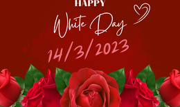 Những lời chúc ngày Valentine trắng 14/3 hay, ý nghĩa và ngọt ngào nhất 2023