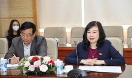 Bộ trưởng Đào Hồng Lan tiếp Trưởng đại diện Cơ quan Hợp tác Quốc tế Nhật Bản tại Việt Nam