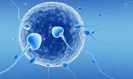 Tinh dịch lo&#227;ng c&#243; ảnh hưởng đến khả năng sinh sản của nam giới?