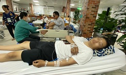 Đang làm nhiệm vụ chữa cháy rừng, một chiến sĩ bị đàn ong "tấn công'' phải đi cấp cứu