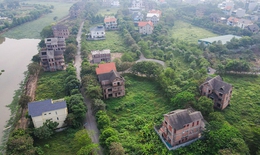 64 dự án 'ôm đất' rồi bỏ hoang tại Mê Linh, Hà Nội chỉ đạo 'nóng'