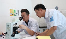 Đã xác định được loại côn trùng đốt gây sẩn ngứa cho nhiều người ở Hà Tĩnh