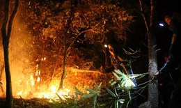 Điện Biên: Cháy rừng sản xuất, hàng chục người nỗ lực dập lửa