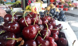 Chuyên gia thực phẩm nói về loại cherry giá rẻ giật mình