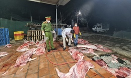 Bắc Giang: Thu mua hơn 1 tấn lợn chết về mổ để mang b&#225;n