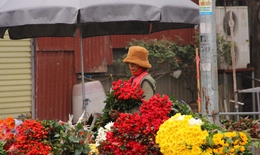 Tiểu thương "luôn tay luôn chân" vào ngày 8/3 tại chợ hoa lớn nhất Hà Nội