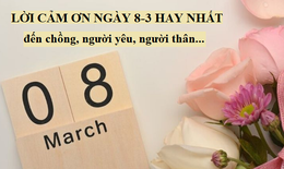 Những lời cảm ơn ngày 8/3 gửi chồng và người thân chân thành nhất
