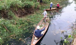 Ch&#237;nh quyền v&#224;o cuộc sau phản &#225;nh của B&#225;o SK&amp;ĐS