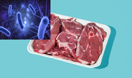 Nhiễm trùng đường tiết niệu liên quan đến vi khuẩn trong thịt?