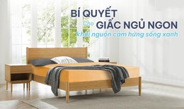 Nệm cao su thi&#234;n nhi&#234;n - B&#237; quyết cho giấc ngủ ngon, khơi nguồn cảm hứng sống xanh