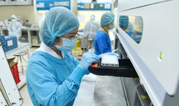 Hà Nội gửi 10 mẫu bệnh phẩm COVID-19 để giải trình tự gen tìm biến thể mới