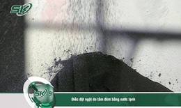 Điếc đột ngột do tắm đêm bằng nước lạnh