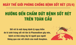 Ngày Thế giới Phòng chống sốt rét: Việt Nam nỗ lực để đạt mục tiêu không còn sốt rét