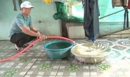 Người dân vùng bãi ngang Quảng Bình khốn khổ vì nước ngầm sụt giảm, nhiễm phèn