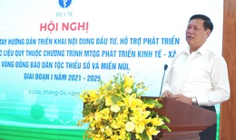 Thứ trưởng Đỗ Xuân Tuyên: Phối hợp chặt chẽ để triển khai đầu tư, hỗ trợ phát triển vùng trồng dược liệu quý