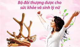 Hồng s&#226;m, Lộc nhung - Bộ đ&#244;i thượng dược cho sức khỏe v&#224; sinh l&#253; nữ