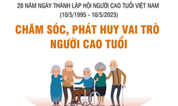 [Infographics] Chăm sóc, phát huy vai trò của người cao tuổi