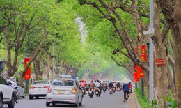 Cận cảnh những cung đường, tuyến phố xanh mát giữa 'chảo lửa' Hà Nội