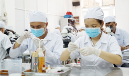 Bộ Y tế chính thức lên tiếng về việc một số trường xét tuyển y khoa bằng môn Văn