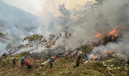 Nhiều tỉnh Tây Bắc cảnh báo nguy cơ cháy rừng cấp độ nguy hiểm