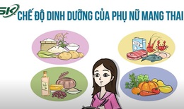 Phụ nữ mang thai nên ăn gì để thai nhi phát triển tốt?