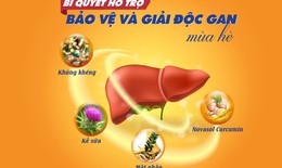 Bí quyết hỗ trợ bảo vệ và giải độc gan mùa hè