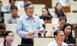 'Quy hoạch treo' khiến người dân 'đi không được, ở không xong', ĐBQH đề xuất gỡ khó