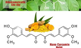 Giải ph&#225;p hỗ trợ giảm triệu chứng vi&#234;m đại tr&#224;ng, rối loạn ti&#234;u h&#243;a