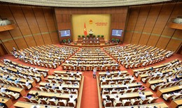 ĐBQH tin tưởng phiên chất vấn sẽ đúng trọng tâm, rõ giải pháp, tháo gỡ kịp thời những vấn đề ‘sát sườn’ liên quan đến đời sống
