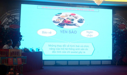 Tinh chất yến s&#224;o - lợi &#237;ch &quot;v&#224;ng&quot; cho sức khỏe v&#224; sắc đẹp