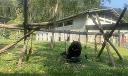 Ghé thăm nơi hồi sinh của những chú gấu